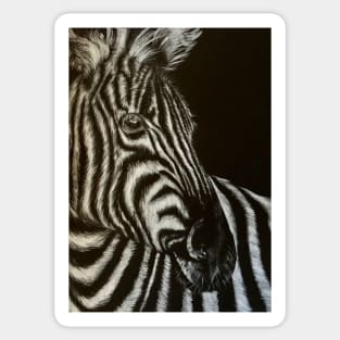 Zebra Portrait Sticker